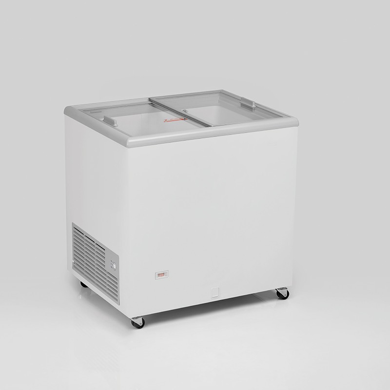 Arcón ICE220 cristal